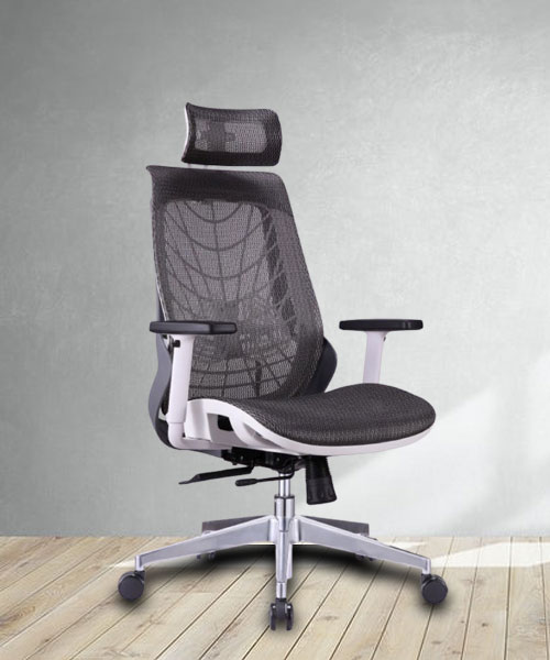 Ergonomic Mesh Chair